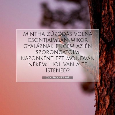 Picture 07 - Zsoltárok 42:11 KAR - Mintha zúzódás volna csontjaimban, mikor - Bible Verse Picture