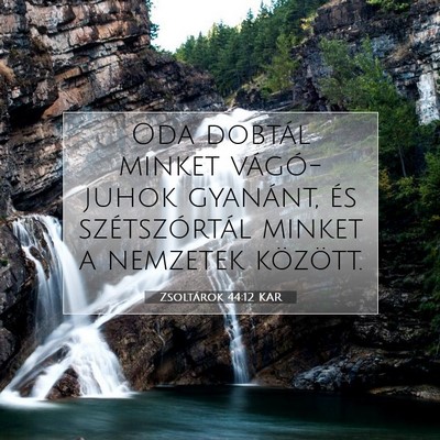 Picture 07 - Zsoltárok 44:12 KAR - Oda dobtál minket vágó-juhok gyanánt, és - Bible Verse Picture