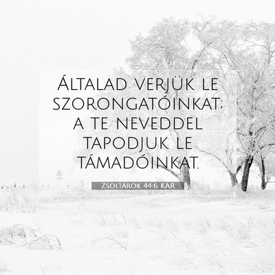 Picture 07 - Zsoltárok 44:6 KAR - Általad verjük le szorongatóinkat; a te - Bible Verse Picture