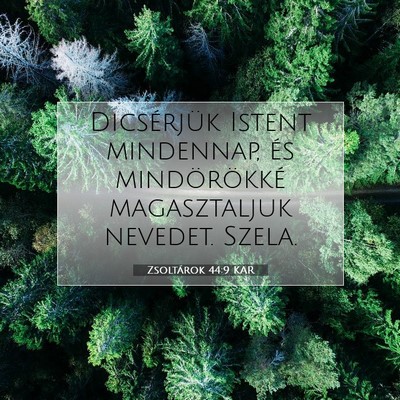 Picture 07 - Zsoltárok 44:9 KAR - Dicsérjük Istent mindennap, és mindörökké - Bible Verse Picture