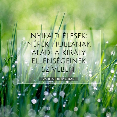 Picture 07 - Zsoltárok 45:6 KAR - Nyilaid élesek; népek hullanak alád; a király - Bible Verse Picture