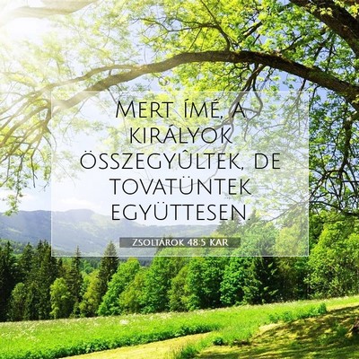 Picture 07 - Zsoltárok 48:5 KAR - Mert ímé, a királyok összegyûltek, de - Bible Verse Picture