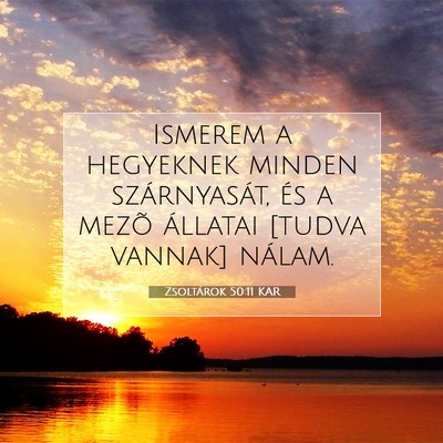 Picture 07 - Zsoltárok 50:11 KAR - Ismerem a hegyeknek minden szárnyasát, és a - Bible Verse Picture