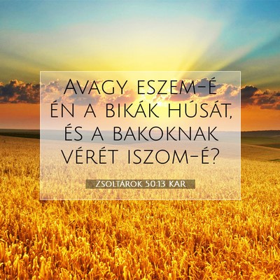 Picture 07 - Zsoltárok 50:13 KAR - Avagy eszem-é én a bikák húsát, és a - Bible Verse Picture