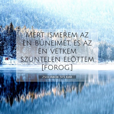 Picture 07 - Zsoltárok 51:5 KAR - Mert ismerem az én bûneimet, és az én vétkem - Bible Verse Picture