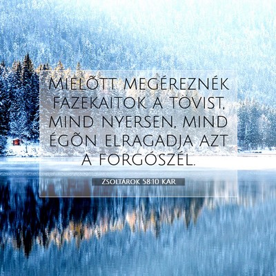 Picture 07 - Zsoltárok 58:10 KAR - Mielõtt megéreznék fazekaitok a tövist, mind - Bible Verse Picture