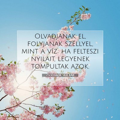 Picture 07 - Zsoltárok 58:8 KAR - Olvadjanak el, folyjanak széllyel, mint a víz; - Bible Verse Picture