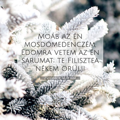 Picture 07 - Zsoltárok 60:10 KAR - Moáb az én mosdómedenczém, Edomra vetem az - Bible Verse Picture