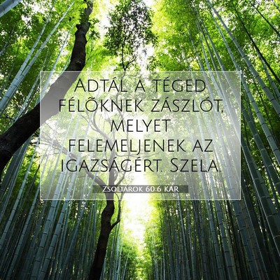 Picture 07 - Zsoltárok 60:6 KAR - Adtál a téged félõknek zászlót, melyet - Bible Verse Picture