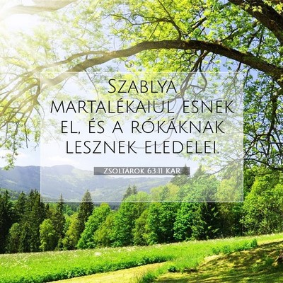 Picture 07 - Zsoltárok 63:11 KAR - Szablya martalékaiul esnek el, és a rókáknak - Bible Verse Picture