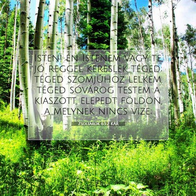 Picture 07 - Zsoltárok 63:2 KAR - Isten! én Istenem vagy te, jó reggel kereslek - Bible Verse Picture