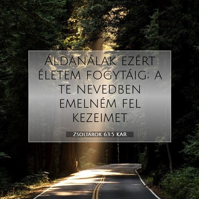 Picture 07 - Zsoltárok 63:5 KAR - Áldanálak ezért életem fogytáig; a te - Bible Verse Picture