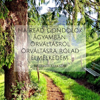 Picture 07 - Zsoltárok 63:7 KAR - Ha reád gondolok ágyamban: õrváltásról - Bible Verse Picture
