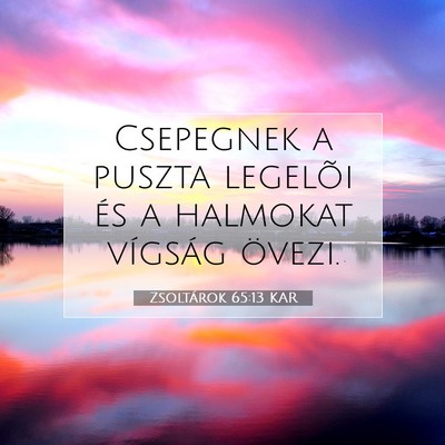 Picture 07 - Zsoltárok 65:13 KAR - Csepegnek a puszta legelõi és a halmokat - Bible Verse Picture