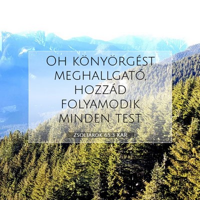 Picture 07 - Zsoltárok 65:3 KAR - Oh könyörgést meghallgató, hozzád folyamodik - Bible Verse Picture