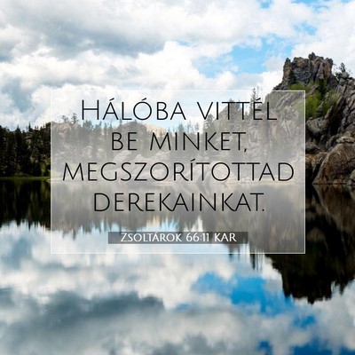 Picture 07 - Zsoltárok 66:11 KAR - Hálóba vittél be minket, megszorítottad - Bible Verse Picture