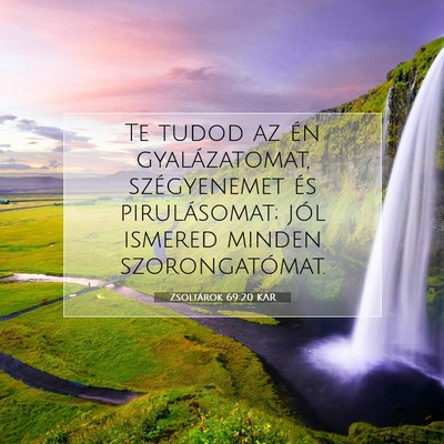 Picture 07 - Zsoltárok 69:20 KAR - Te tudod az én gyalázatomat, szégyenemet és - Bible Verse Picture