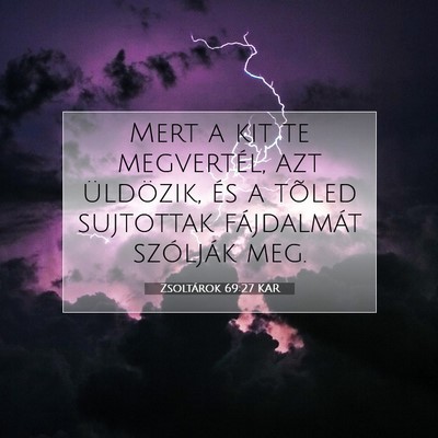 Picture 07 - Zsoltárok 69:27 KAR - Mert a kit te megvertél, azt üldözik, és a - Bible Verse Picture