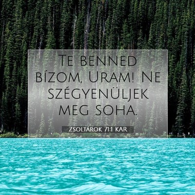 Picture 07 - Zsoltárok 71:1 KAR - Te benned bízom, Uram! Ne szégyenüljek meg - Bible Verse Picture
