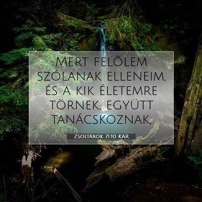 Picture 07 - Zsoltárok 71:10 KAR - Mert felõlem szólanak elleneim, és a kik - Bible Verse Picture