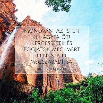 Picture 07 - Zsoltárok 71:11 KAR - Mondván: Az Isten elhagyta õt! Kergessétek és - Bible Verse Picture