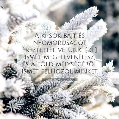 Picture 07 - Zsoltárok 71:20 KAR - A ki sok bajt és nyomorúságot éreztettél - Bible Verse Picture