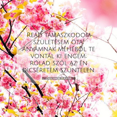 Picture 07 - Zsoltárok 71:6 KAR - Reád támaszkodom születésem óta; anyámnak - Bible Verse Picture