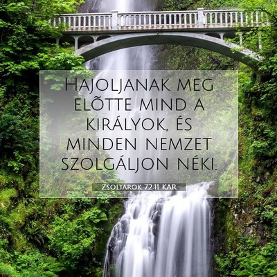 Picture 07 - Zsoltárok 72:11 KAR - Hajoljanak meg elõtte mind a királyok, és - Bible Verse Picture