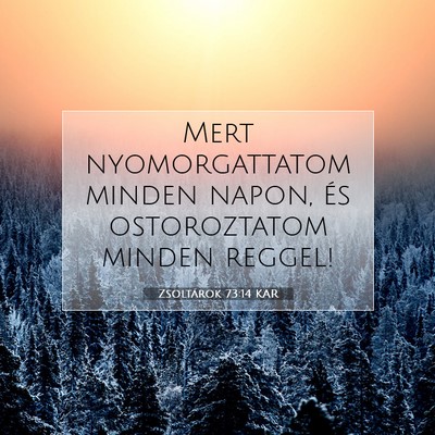 Picture 07 - Zsoltárok 73:14 KAR - Mert nyomorgattatom minden napon, és - Bible Verse Picture