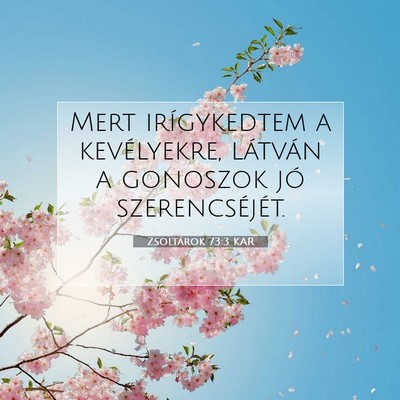Picture 07 - Zsoltárok 73:3 KAR - Mert irígykedtem a kevélyekre, látván a - Bible Verse Picture