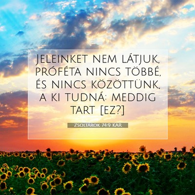 Picture 07 - Zsoltárok 74:9 KAR - Jeleinket nem látjuk, próféta nincs többé, - Bible Verse Picture