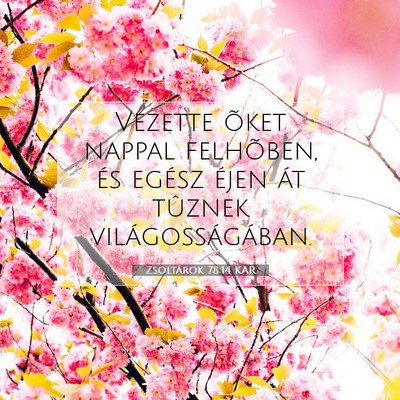 Picture 07 - Zsoltárok 78:14 KAR - Vezette õket nappal felhõben, és egész éjen - Bible Verse Picture