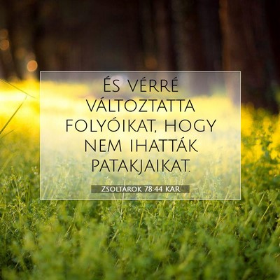 Picture 07 - Zsoltárok 78:44 KAR - És vérré változtatta folyóikat, hogy nem - Bible Verse Picture