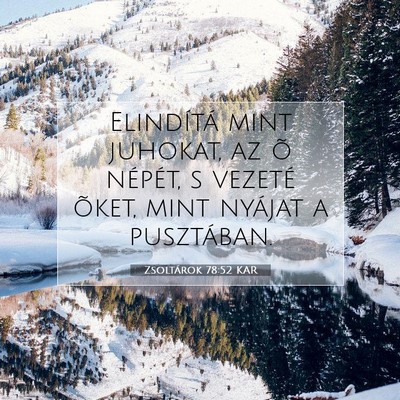 Picture 07 - Zsoltárok 78:52 KAR - Elindítá mint juhokat, az õ népét, s vezeté - Bible Verse Picture