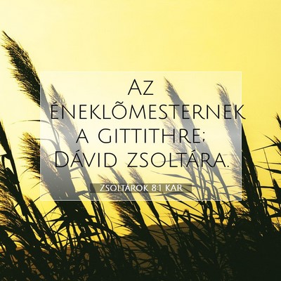 Picture 07 - Zsoltárok 8:1 KAR - Az éneklõmesternek a gittithre; Dávid - Bible Verse Picture