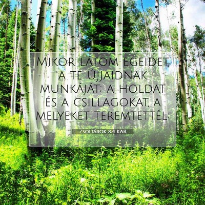 Picture 07 - Zsoltárok 8:4 KAR - Mikor látom egeidet, a te újjaidnak munkáját; - Bible Verse Picture
