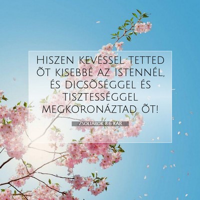 Picture 07 - Zsoltárok 8:6 KAR - Hiszen kevéssel tetted õt kisebbé az - Bible Verse Picture