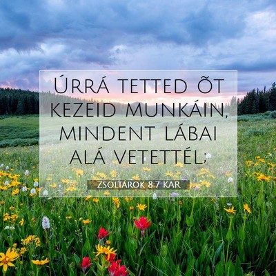 Picture 07 - Zsoltárok 8:7 KAR - Úrrá tetted õt kezeid munkáin, mindent lábai - Bible Verse Picture