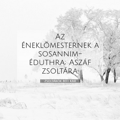 Picture 07 - Zsoltárok 80:1 KAR - Az éneklõmesternek a sosannim-éduthra; Aszáf - Bible Verse Picture