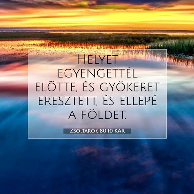 Picture 07 - Zsoltárok 80:10 KAR - Helyet egyengettél elõtte, és gyökeret - Bible Verse Picture