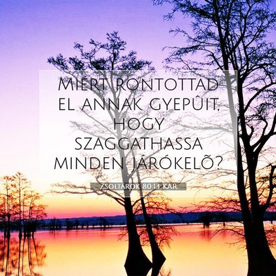 Picture 07 - Zsoltárok 80:13 KAR - Miért rontottad el annak gyepûit, hogy - Bible Verse Picture