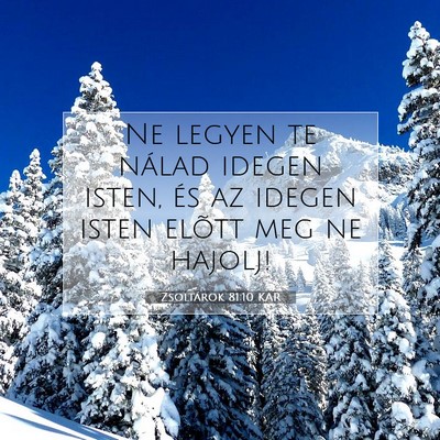 Picture 07 - Zsoltárok 81:10 KAR - Ne legyen te nálad idegen isten, és az idegen - Bible Verse Picture