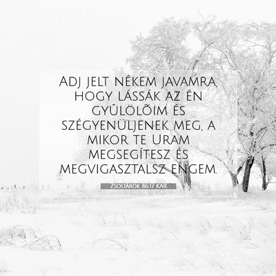 Picture 07 - Zsoltárok 86:17 KAR - Adj jelt nékem javamra, hogy lássák az én - Bible Verse Picture