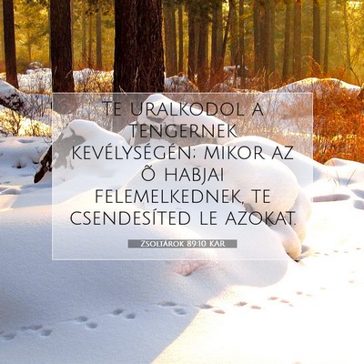 Picture 07 - Zsoltárok 89:10 KAR - Te uralkodol a tengernek kevélységén; mikor az - Bible Verse Picture
