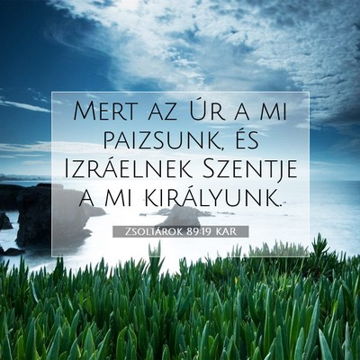Picture 07 - Zsoltárok 89:19 KAR - Mert az Úr a mi paizsunk, és Izráelnek Szentje - Bible Verse Picture