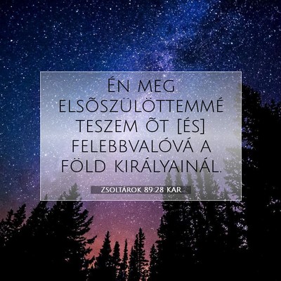 Picture 07 - Zsoltárok 89:28 KAR - Én meg elsõszülöttemmé teszem õt [és] - Bible Verse Picture
