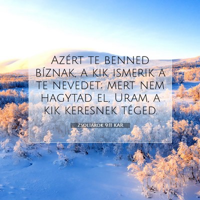 Picture 07 - Zsoltárok 9:11 KAR - Azért te benned bíznak, a kik ismerik a te - Bible Verse Picture