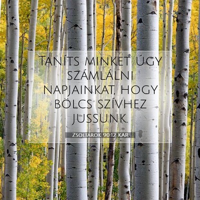 Picture 07 - Zsoltárok 90:12 KAR - Taníts minket úgy számlálni napjainkat, hogy - Bible Verse Picture