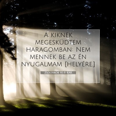 Picture 07 - Zsoltárok 95:11 KAR - A kiknek megesküdtem haragomban: Nem mennek be - Bible Verse Picture