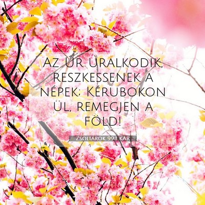 Picture 07 - Zsoltárok 99:1 KAR - Az Úr uralkodik, reszkessenek a népek; - Bible Verse Picture